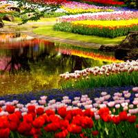 Garden Live Wallpaper اسکرین شاٹ 2