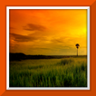 ”Landsscape Live Wallpaper