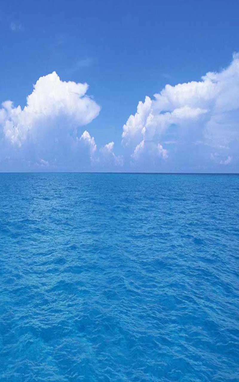 Живое море на телефон. Голубое море. Живое море. Живые картинки море. Живые обои на андроид море.