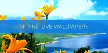 primavera de pantalla en vivo