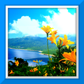 Spring Live Wallpaper