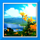 Spring Live Wallpaper-APK