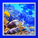 Under Sea Live Wallpaper aplikacja