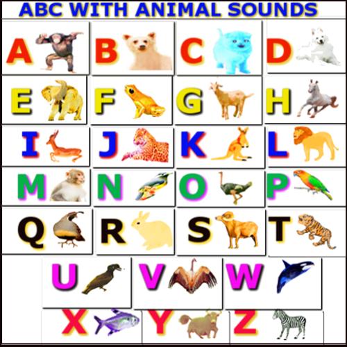 ABC WITH ANIMAL NAME AND SOUND APK pour Android Télécharger ABC WITH ANIMAL NAME AND SOUND APK pour Android Télécharger
