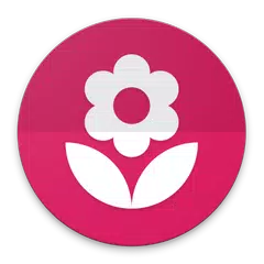 Chameleon Live Wallpaper KLWP APK 下載
