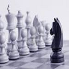 Chess Knights Interchange icône