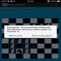 Chess Pawn and Knight Problem plakat