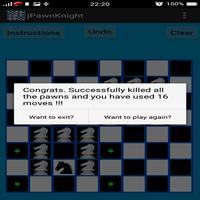 Chess Pawn and Knight Problem Affiche