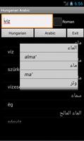 Arabic Hungarian Dictionary plakat