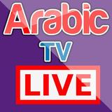 Arabic Tv icône
