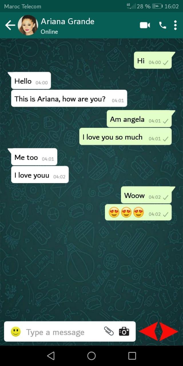 Featured image of post I Love You Whatsapp Message Prank / 2:18 i love you 87 673 просмотра.