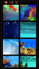 100+ Photo Effects APK download