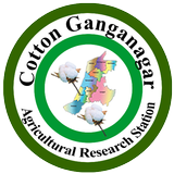 Cotton Ganganagar Zeichen