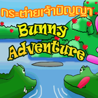 BunnyAdventure002 아이콘