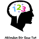 Aklından Bir Sayı Tut Oyunu APK