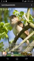 鳥鳴き声サヨナキドリ 스크린샷 1