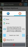Birds Sounds ภาพหน้าจอ 3
