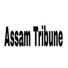 Assam Tribune Epaper icône