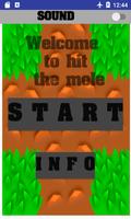 HIT THE MOLE-poster