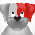 Petzar