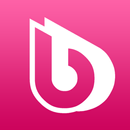 BWT Service APK