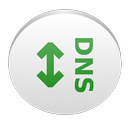 DNS switch APK