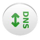 DNS switch