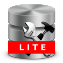 Settings Debugger LITE APK