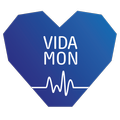 Vidamon Single