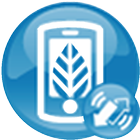 demoloop Fitness AppCess icône