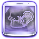 Pregnancy Test Prank APK