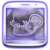 Pregnancy Test Prank icon