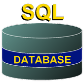 SQL РЕЛЯЦИОННАЯ СУБД icon