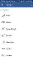 Field Guide to Gippsland Lakes Screenshot 1