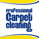 Professional Carpet Cleaning icône