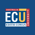 ECU Engineering ícone