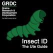 Insect ID: The Ute Guide