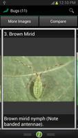 برنامه‌نما Insect ID: The Ute Guide عکس از صفحه