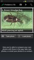 Insect ID: The Ute Guide screenshot 1