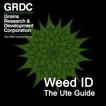 ”Weed ID: The Ute Guide