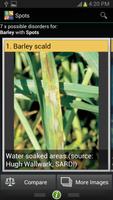 Winter cereals: The Ute Guide स्क्रीनशॉट 1