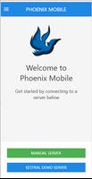 Phoenix Mobile Affiche