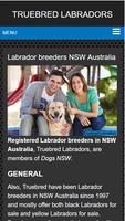Labrador puppies for sale NSW تصوير الشاشة 1