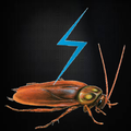Pest Control and Property