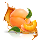 Cafe Apricot icône