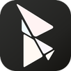 Bibleview2 APK