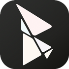 Bibleview2 icon