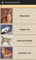 Domestic Cat Breeds gönderen