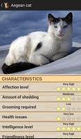 Domestic Cat Breeds Ekran Görüntüsü 1