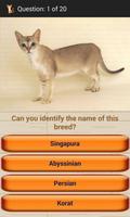 Domestic Cat Breeds اسکرین شاٹ 2